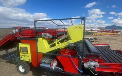 Dewulf MG240 Optical Sorter